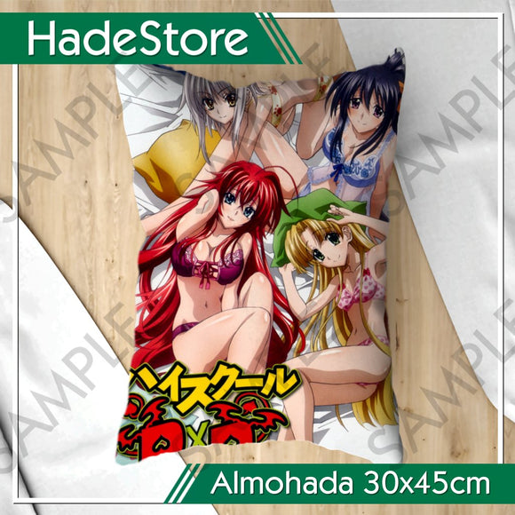 Almohada High School DXD - 04